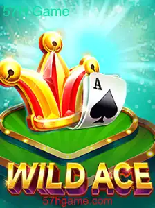 WildAce: Descubra o Emocionante Jogo 57H Game